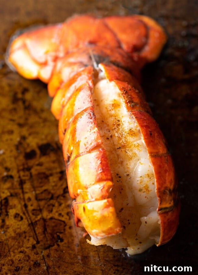 Boiling or Baking Lobster Tails Uncover the Best Method 9 A close-up view of a plump, perfectly cooked lobster tail, still in its shell, resting on a baking sheet, its rich color and tender texture evident.