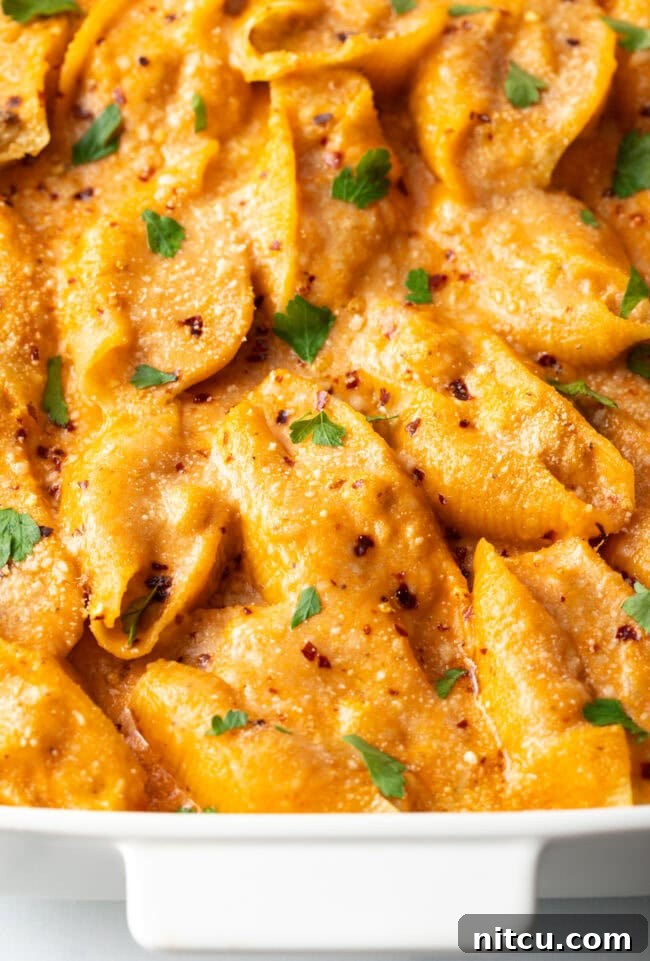 Ocean's Bounty Stuffed Shells 15 Top down view baked stuffed shells seafood pasta.