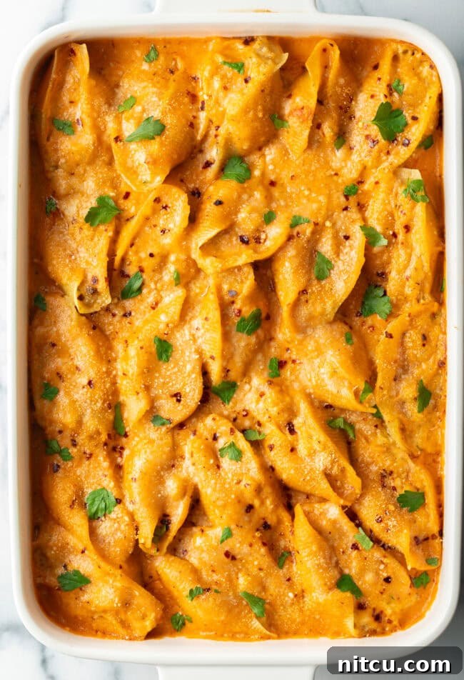 Ocean's Bounty Stuffed Shells 3 Top down view baked stuffed shells seafood pasta.