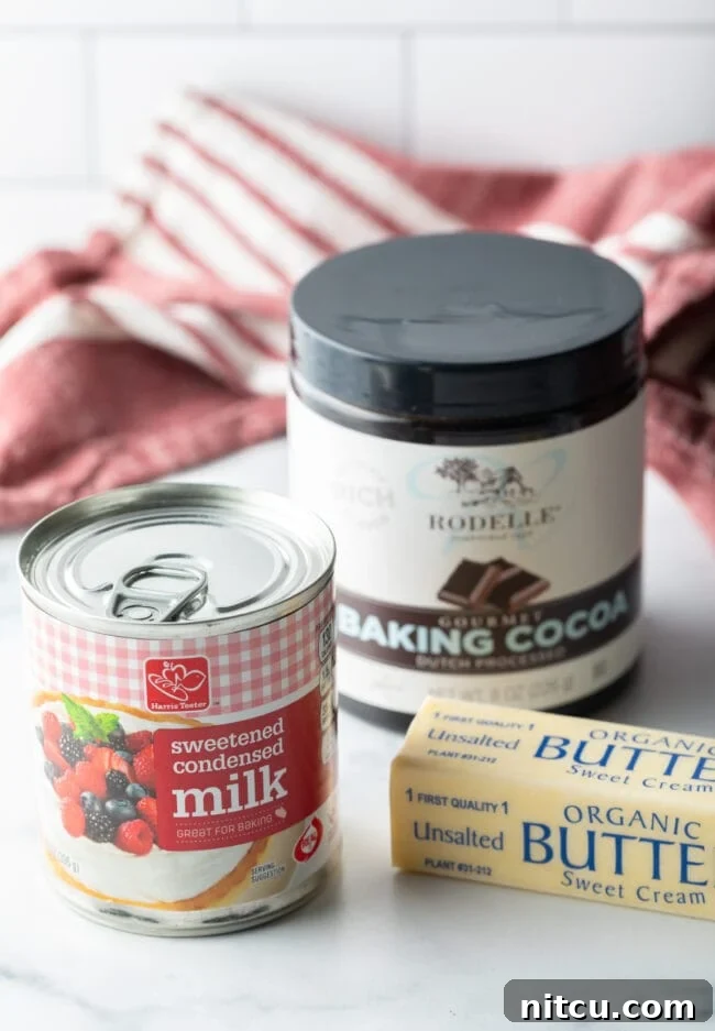 Recipe ingredients for homemade hot fudge sauce including a jar of sweetened condensed milk, a stick of butter, and a bowl of cocoa powder.