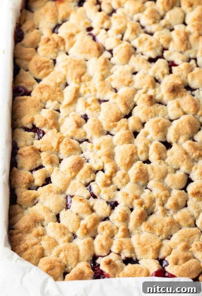 Sweet Cherry Crumble Bars 11 A baked pan of cherry pie bars, featuring a golden-brown, bubbly topping and visible cherry filling peeking through, fresh from the oven.
