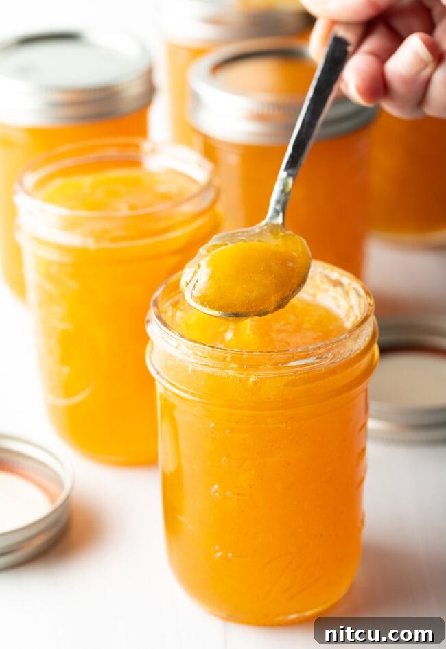 A jar of homemade peach jam with a metal spoonful, showcasing its rich texture.