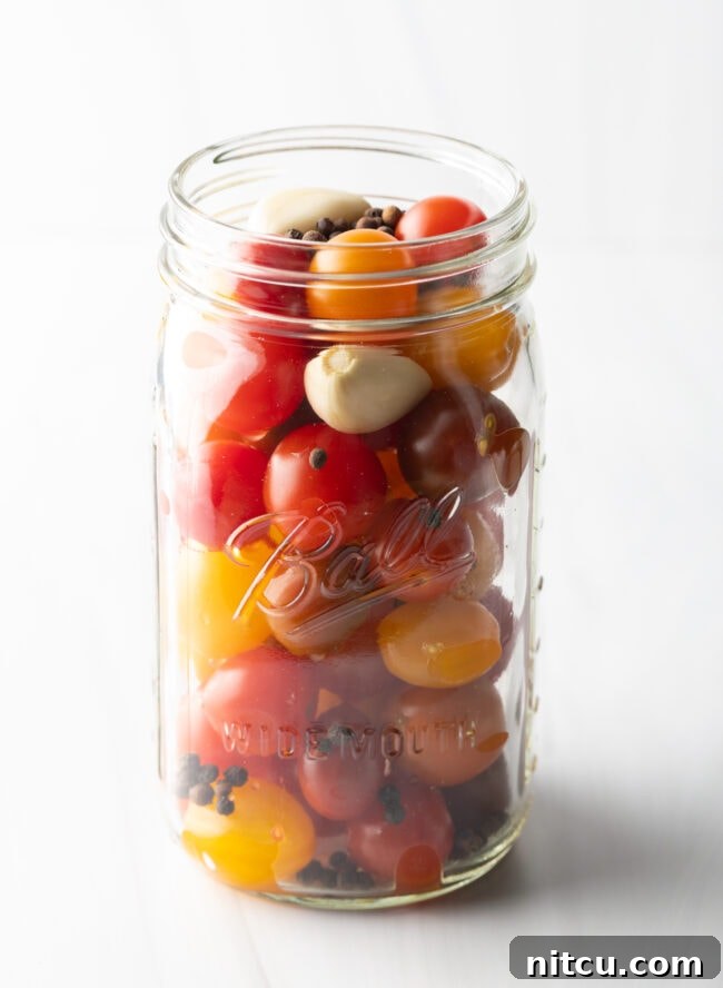 Tangy Tomato Preserves 9 Small yellow and red cherry tomatoes in a large glass ball jar.