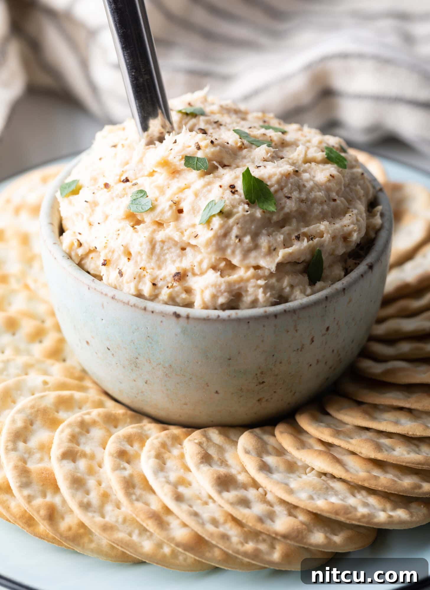 Coastal Smokehouse Dip 2 An elegant, off-white ceramic bowl of creamy smoked fish dip sits invitingly at the center of a rustic round serving plate. A collection of crisp, circular crackers are artfully arranged around the bowl, ready for dipping. A silver metal spoon is delicately poised within the dip, indicating its rich, smooth texture.