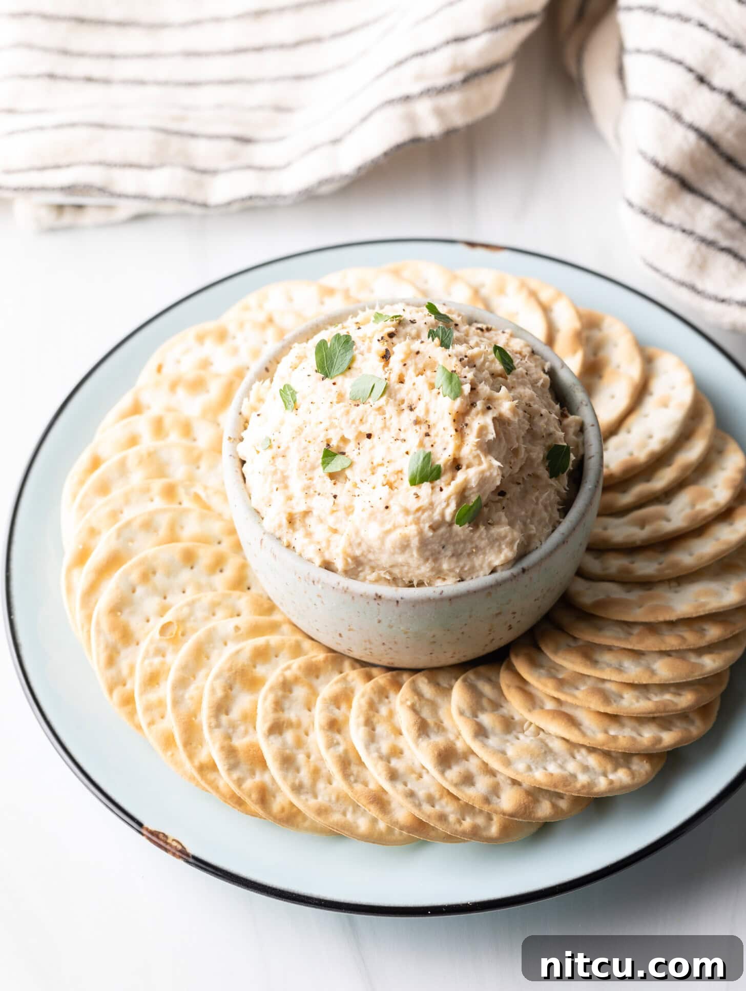Coastal Smokehouse Dip 7 A pristine, off-white bowl brimming with creamy smoked fish dip is presented centrally on a rustic round serving platter, artfully encircled by an assortment of crisp, circular crackers, inviting guests to indulge.