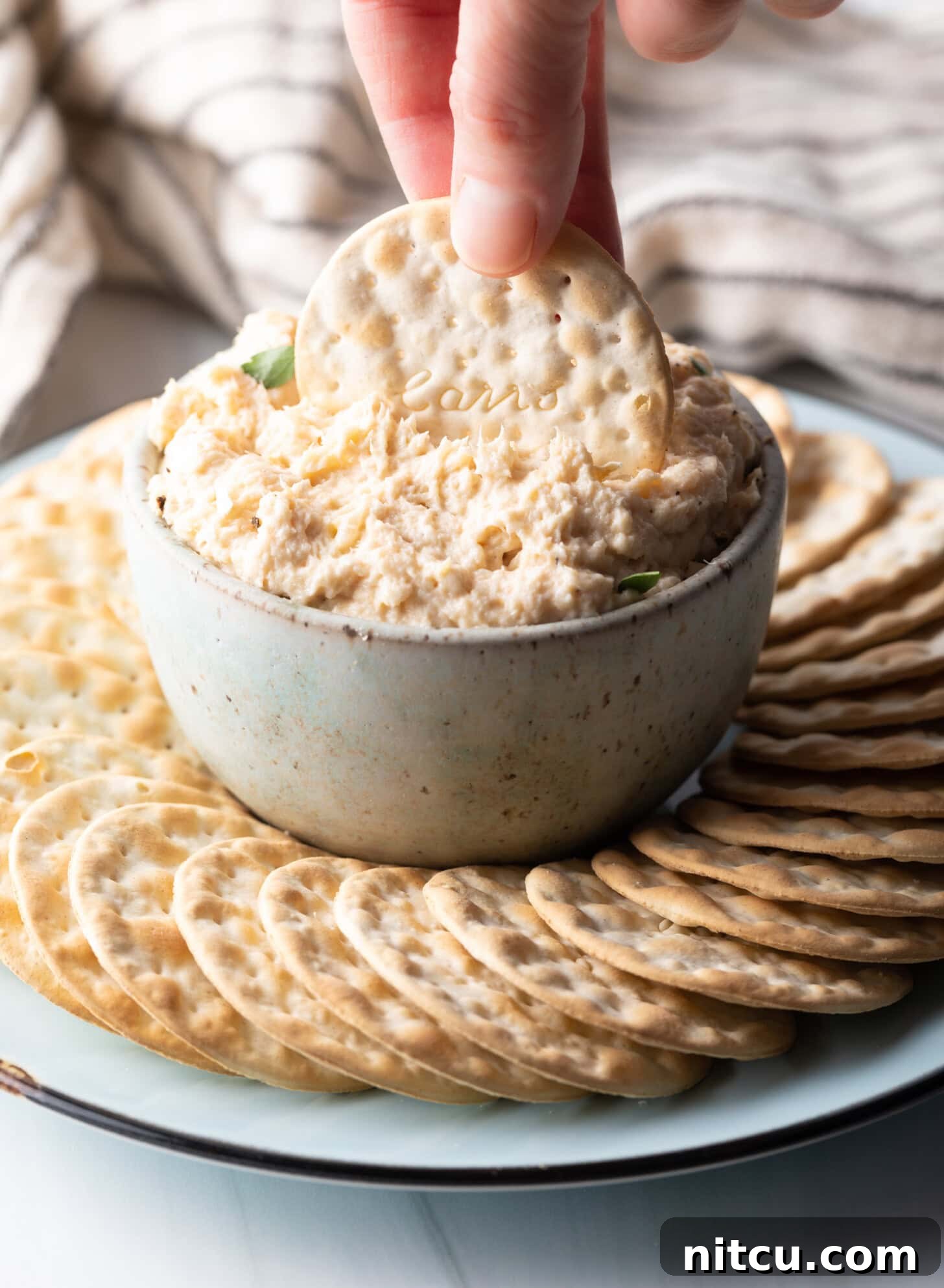 Coastal Smokehouse Dip 8 A hand gently dips a circular cracker into a creamy bowl of smoked fish dip, which is elegantly presented on a serving plate surrounded by more crackers, highlighting the dip's rich texture and appeal.
