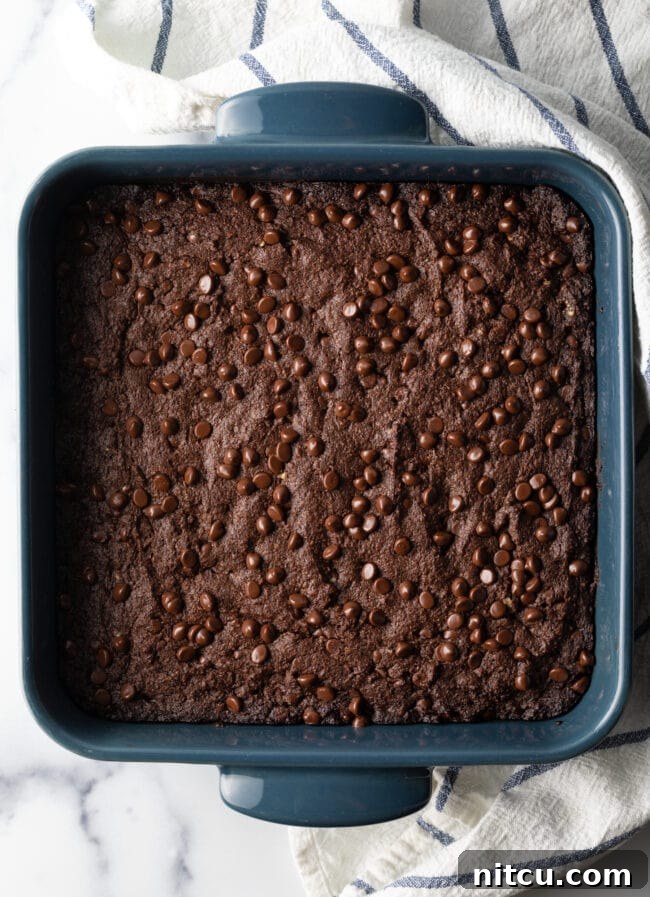 Glow-Up Protein Brownies 10 Top-down view of a square pan of freshly baked brownies dotted with chocolate chips, cut into perfect squares.