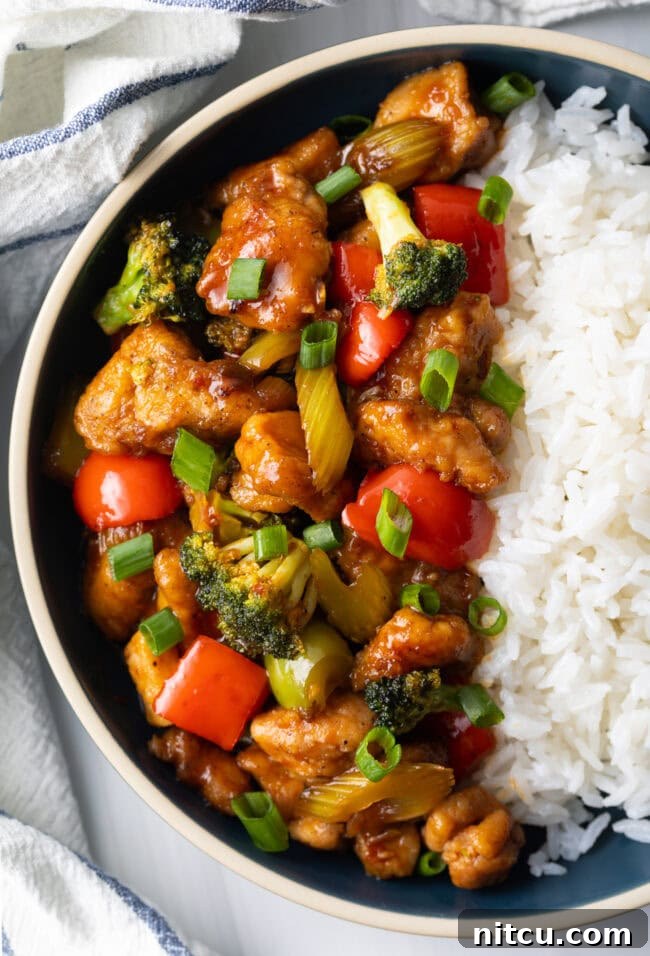 Hunan Firecracker Chicken 14 An inviting top-down view of a bowl presenting a perfect half-and-half split of vibrant Hunan Chicken stir-fry and pristine white rice, signaling a complete and delicious meal.