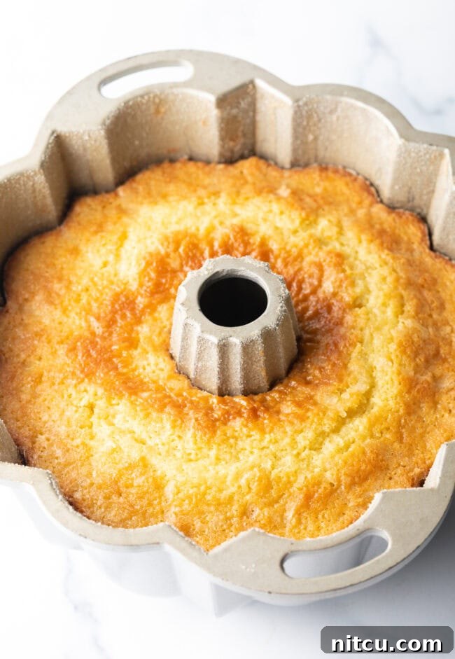 Sun-Kissed Lemon Olive Oil Cake 8 A perfectly baked, golden-brown Bundt cake sits cooling in its pan, its intricate design visible, promising a delicious and visually appealing dessert.