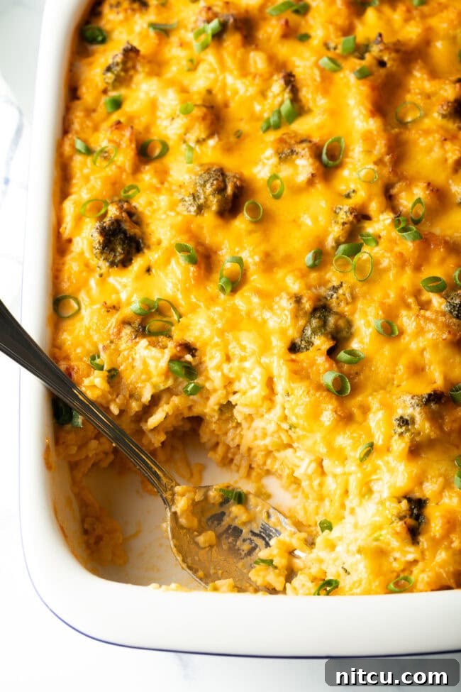 Effortless Cheesy Broccoli Rice Bake 9 Easy broccoli rice casserole in a white baking dish. A metal spoon is scooping a portion from the dish.
