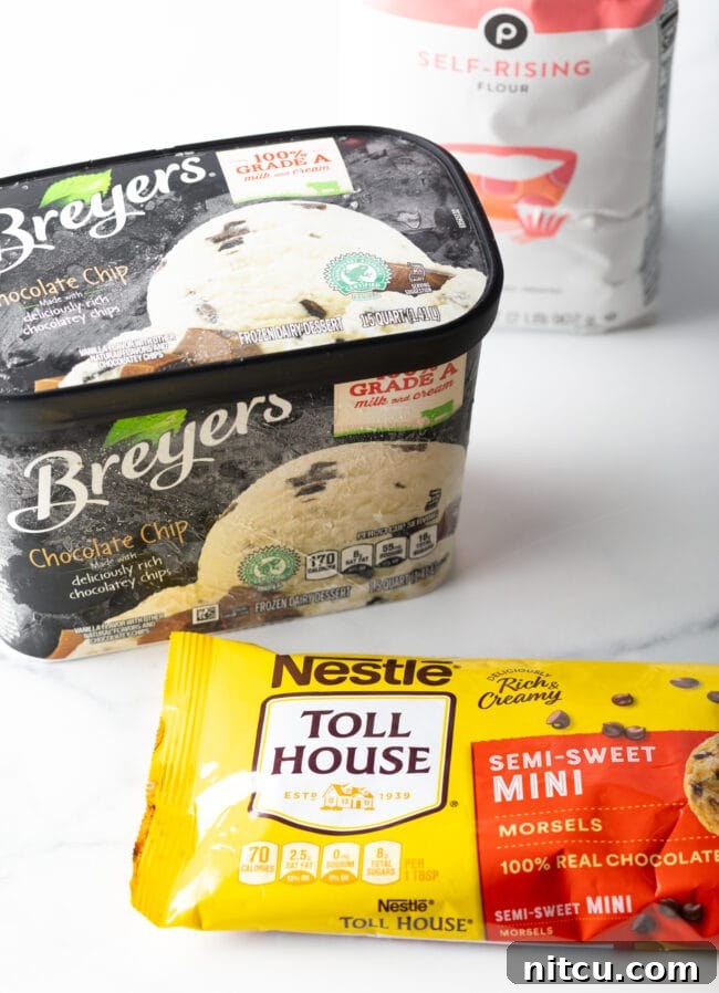 Recipe ingredients: container of chocolate chip ice cream. Package of mini chocolate chips.