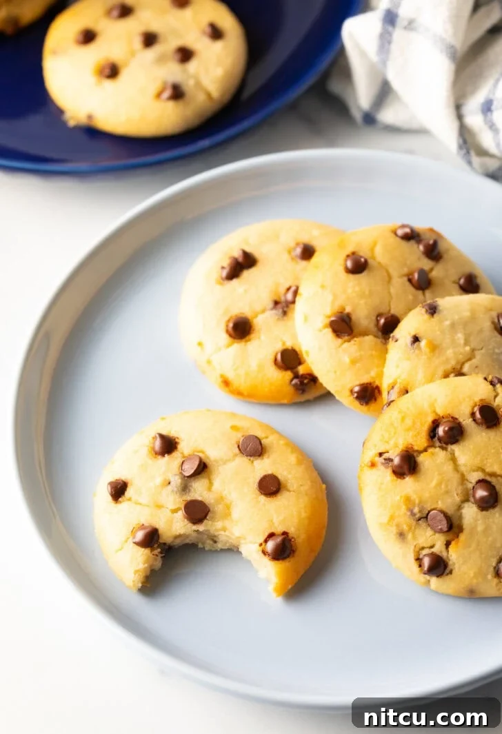Wholesome Cookie Dough Delight 11 Light blue plate with 6 cookies. One chocolate chip cookie has a bite taken out.