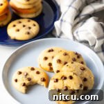 Wholesome Cookie Dough Delight 12 Light blue plate with 6 cookies. One chocolate chip cookie has a bite taken out.