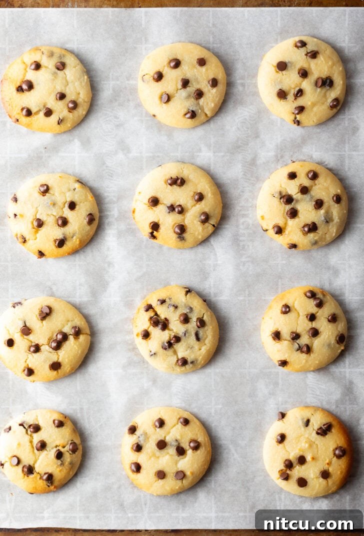 Wholesome Cookie Dough Delight 3 8 cottage cheese chocolate chip cookies cooling on a baking sheet.