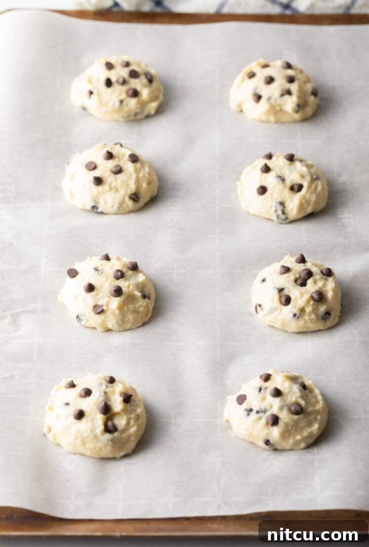 Wholesome Cookie Dough Delight 8 8 unbaked raw cottage cheese cookie dough cookies with chocolate chips on a baking tree.