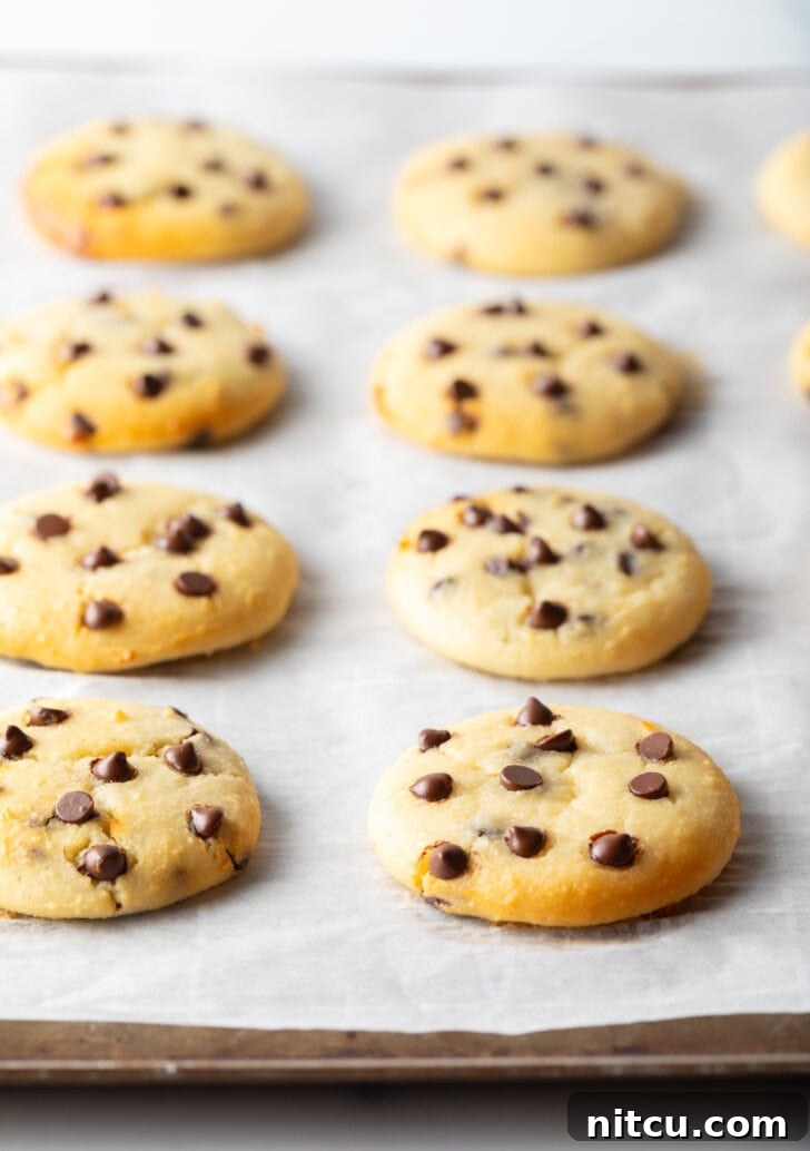 Wholesome Cookie Dough Delight 9 8 cottage cheese chocolate chip cookies cooling on a baking sheet. A front cookie has a bite missing.