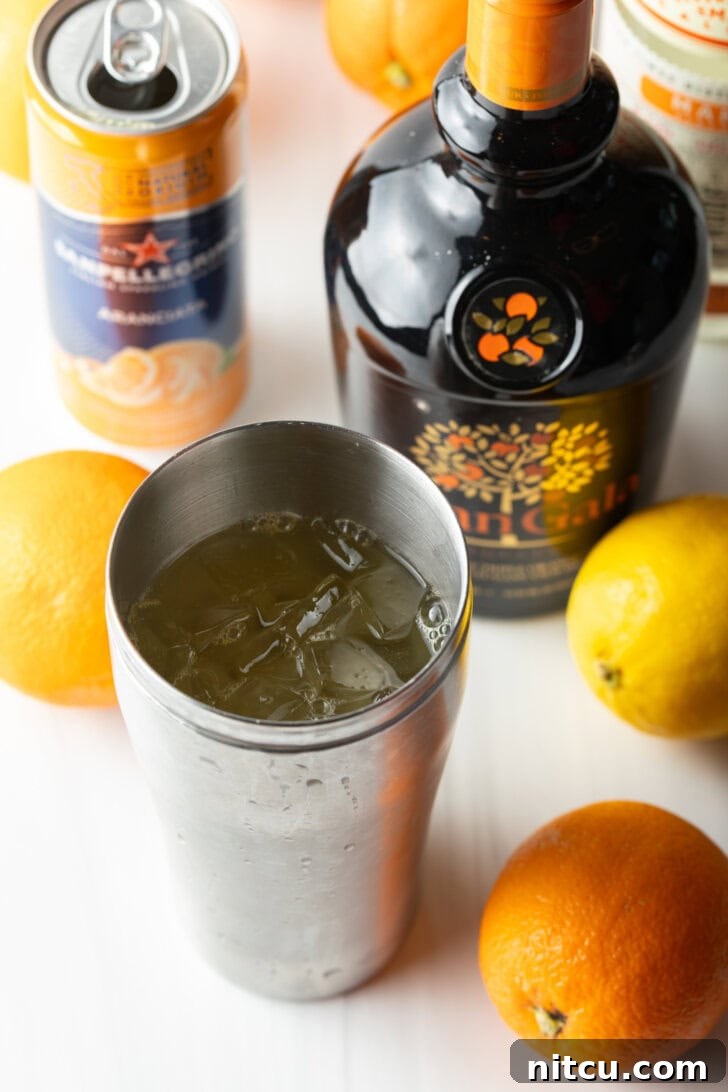 A cocktail shaker filled with ingredients, ready to be stirred.