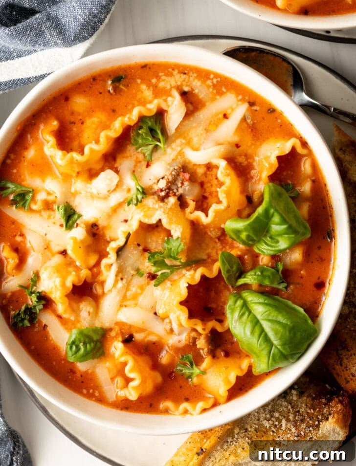 One-Pot Lasagna Delight 11 An overhead shot of a white bowl brimming with lasagna soup, elegantly garnished with two fresh basil leaves, emphasizing its rich texture and appealing presentation.