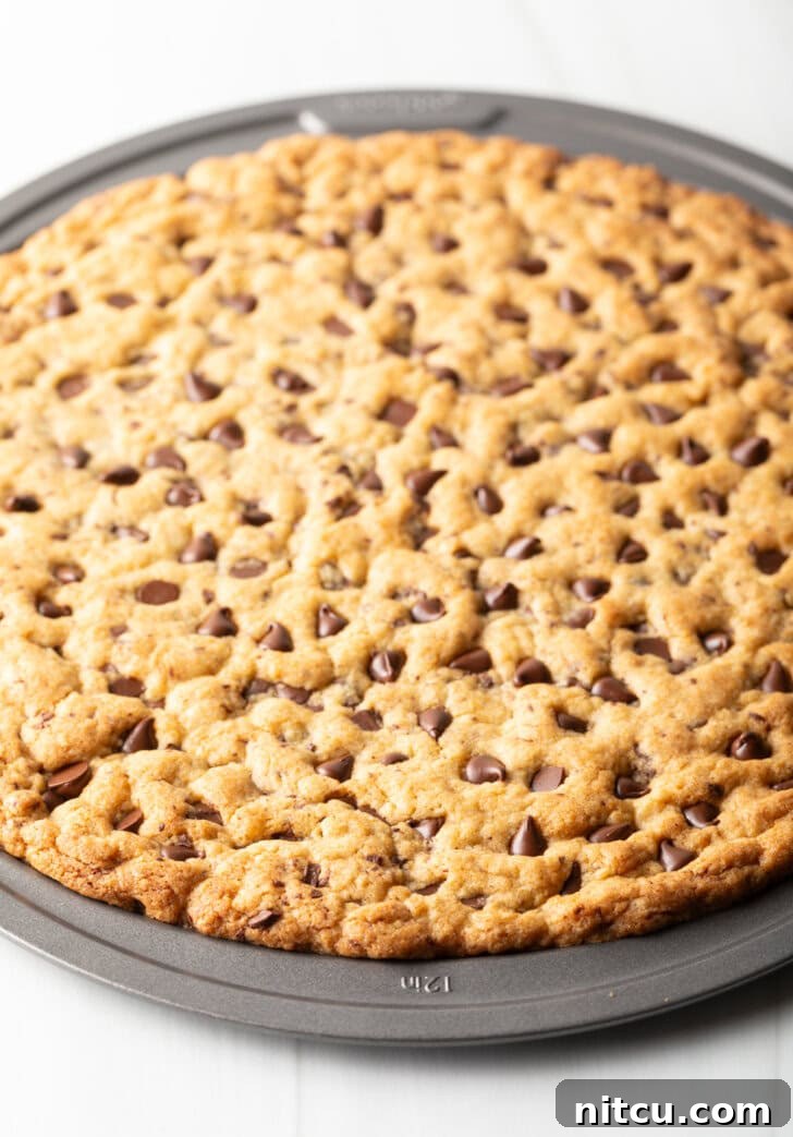 Ultimate Chocolate Chip Cookie Cake 9 Large chocolate chip cookie cake baked in a pizza pan.