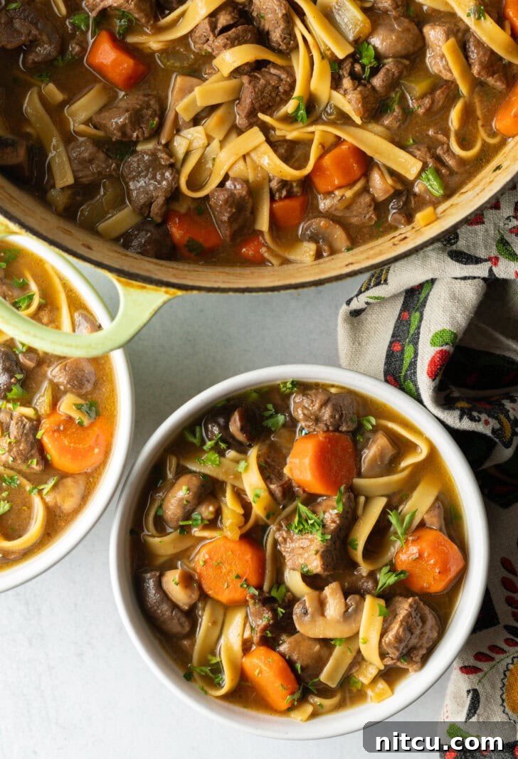 Ultimate Beef Noodle Soup 11 Top down bowl of noodle soup with meat and veggies.