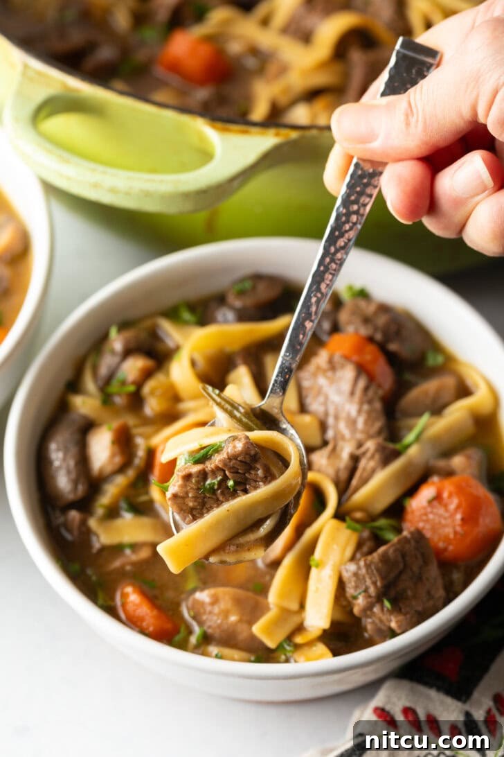 Ultimate Beef Noodle Soup 12 Bowl of beef noodle soup with a spoon holding a spoonful to camera.