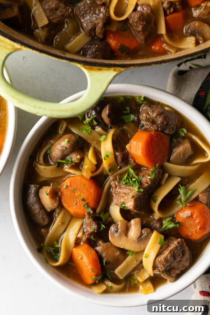 Ultimate Beef Noodle Soup 3 Top down bowl of noodle soup with meat and veggies.