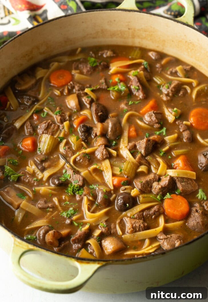 Ultimate Beef Noodle Soup 8 img 143288 7