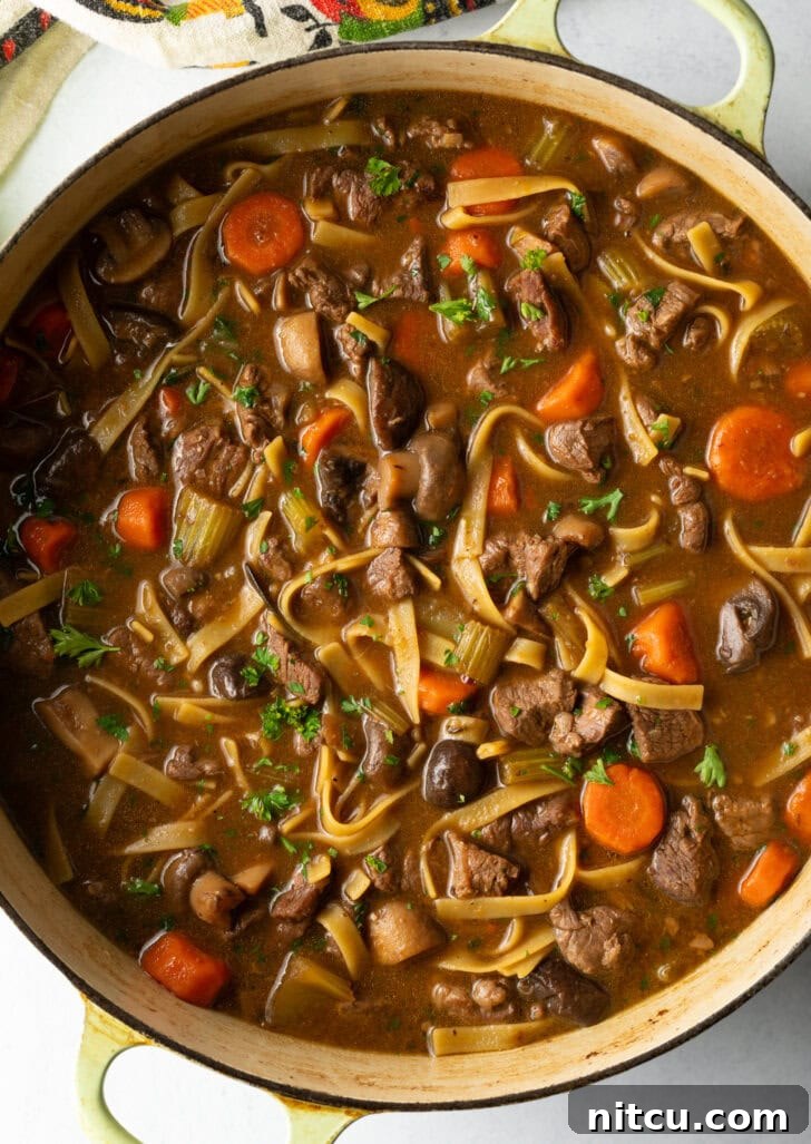 Ultimate Beef Noodle Soup 9 Top down view noodle soup with beef and veggies in a large pot.