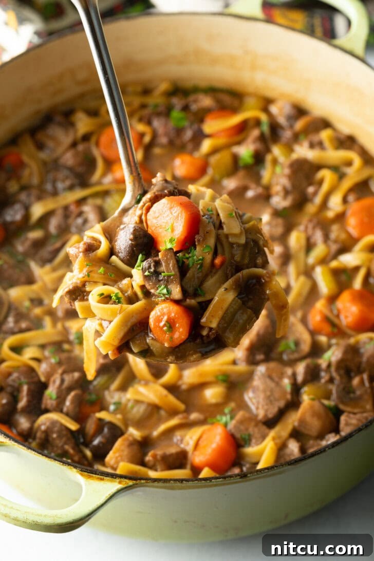 Ultimate Beef Noodle Soup 10 Bowl of beef noodle soup with a spoon holding a spoonful to camera.