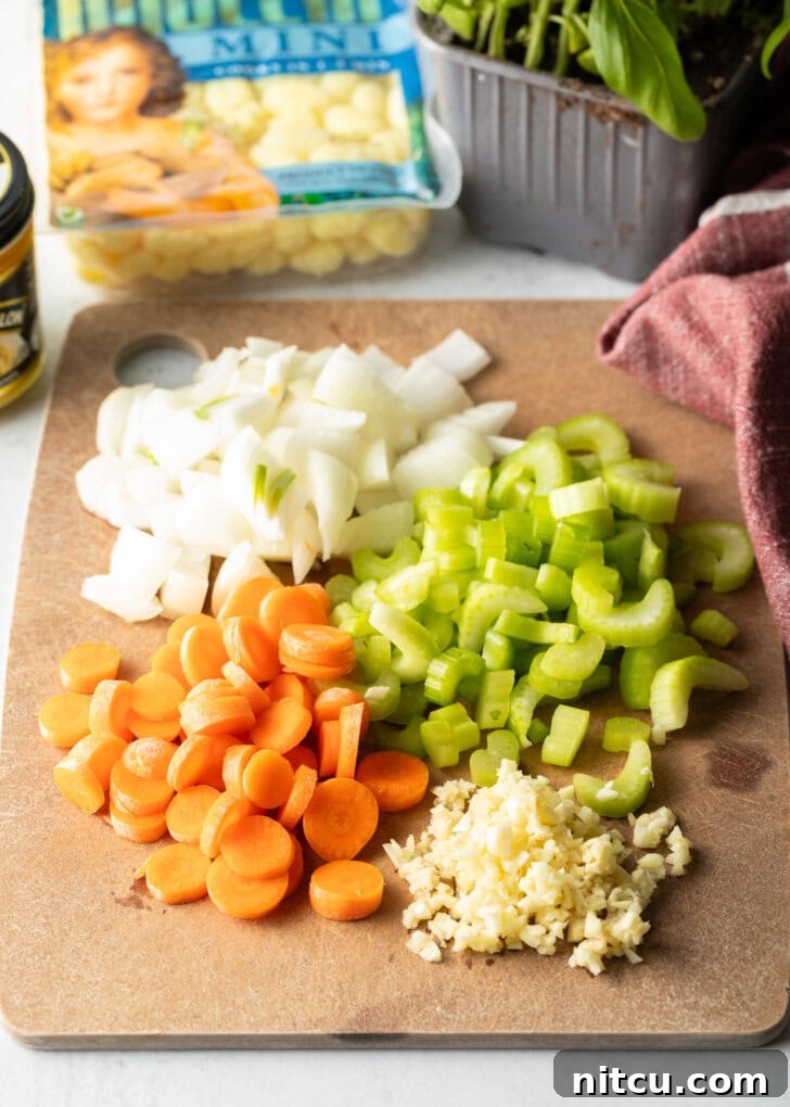 A meticulously arranged cutting board showcasing individual piles of freshly chopped carrots, celery, onion, and minced garlic, ready for the soup recipe.