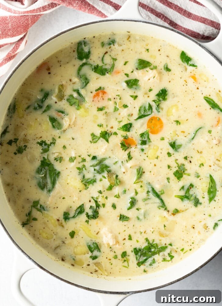 A large pot filled with the bubbling chicken gnocchi soup, rich with tender chicken, potato gnocchi, and colorful vegetables, simmering to perfection.