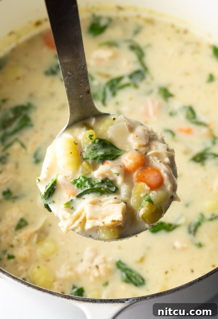 A ladle lifts a generous spoonful of creamy chicken gnocchi soup, showcasing its rich texture, tender chicken, and vibrant vegetables, ready to be served.