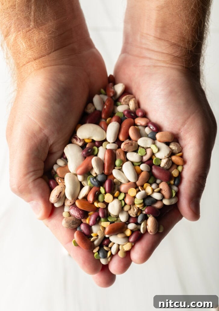Two hands holding dry 15 bean soup blend.