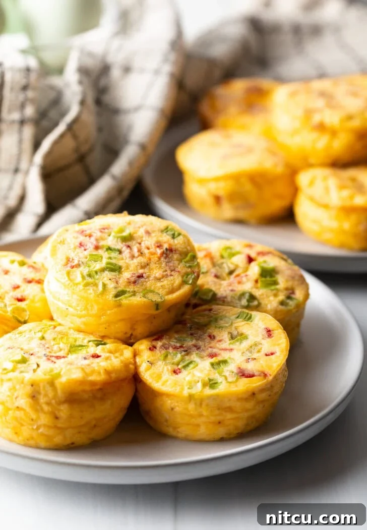 Effortless Egg Bites 2 Six perfectly baked egg bites arranged beautifully on a pristine white plate, showcasing their golden-brown edges and fluffy texture.