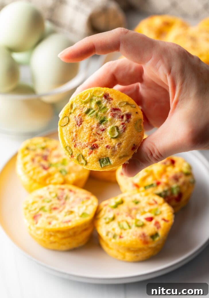 Effortless Egg Bites 11 A hand holds an egg bite towards the camera, showcasing its light, fluffy texture and delicious savory fillings.