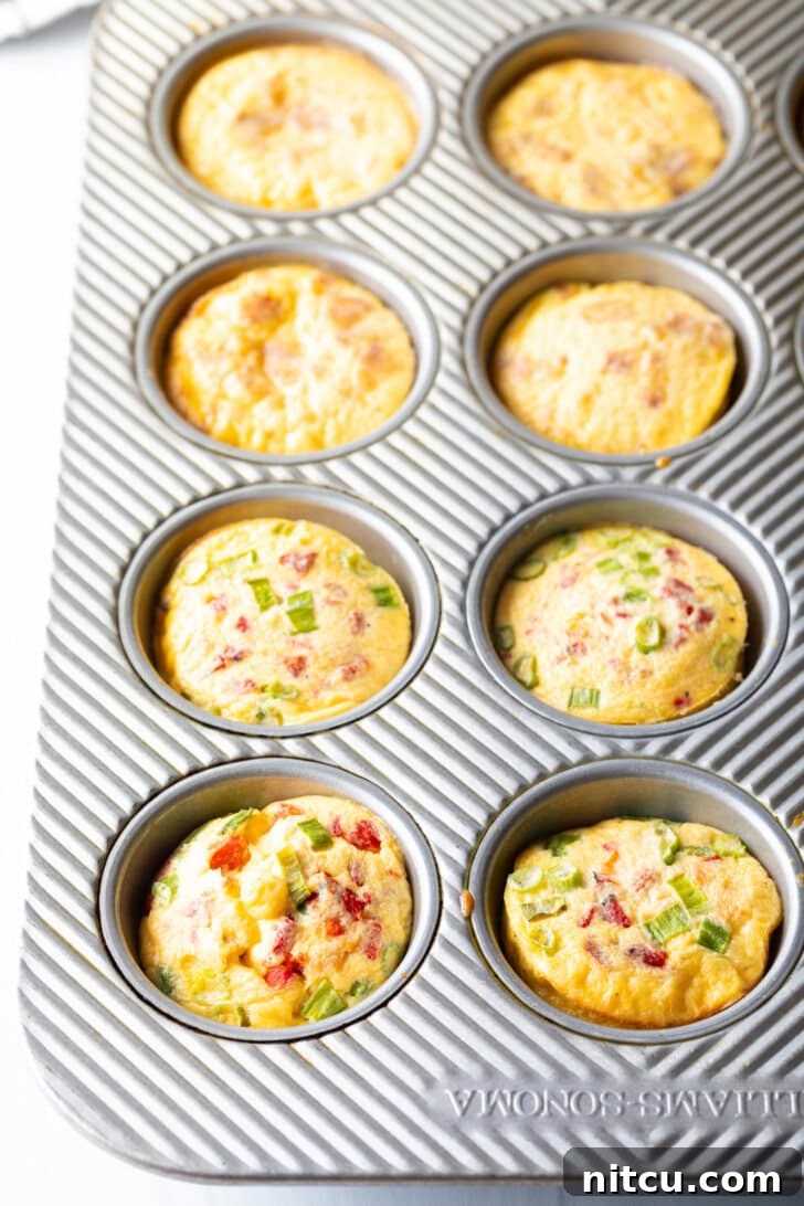 Effortless Egg Bites 9 A metal muffin tin contains 12 perfectly baked and puffed egg bites, ready to be removed.