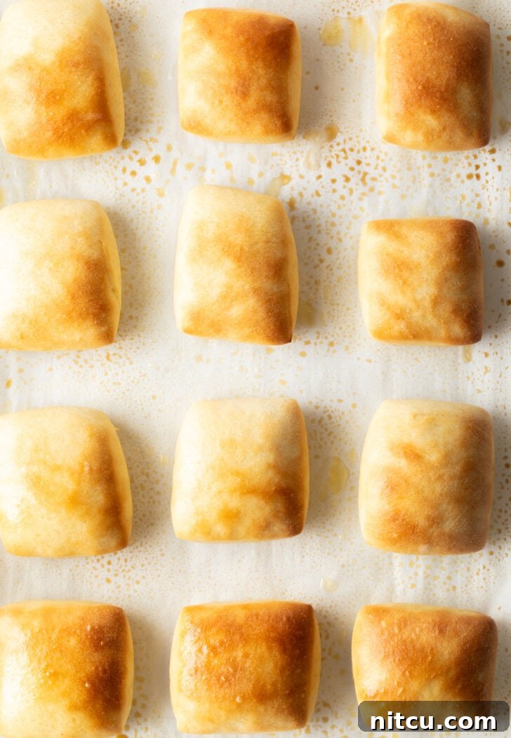 Top down a dozen rectangle yeast rolls on a baking sheet.