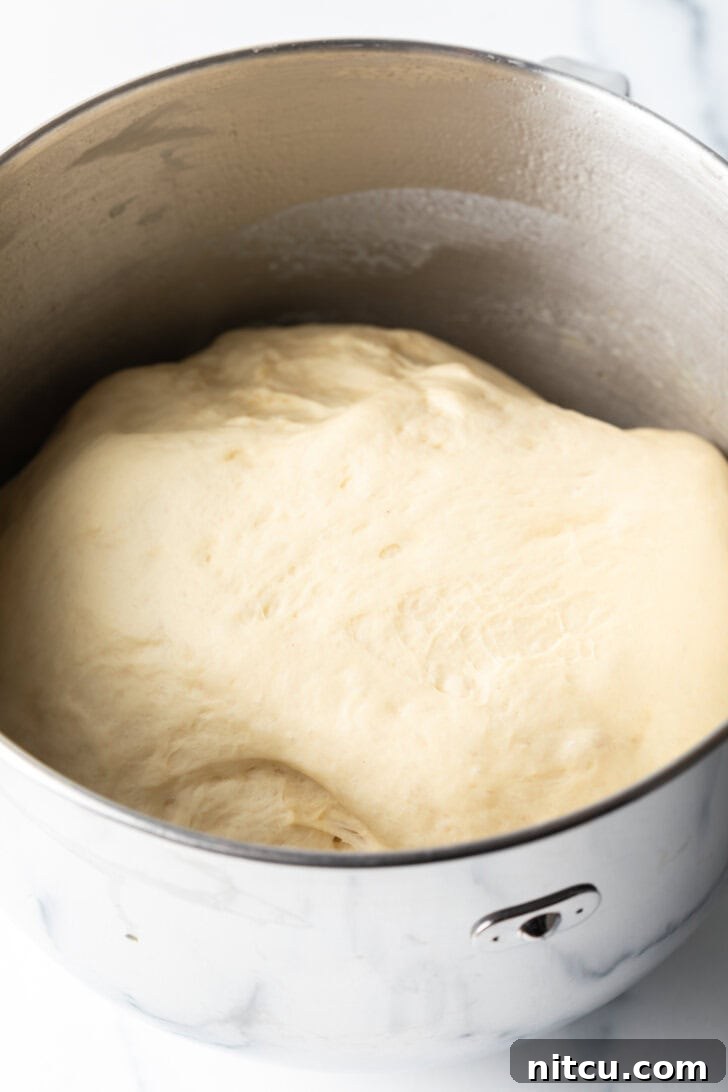 Dough in a metal bowl.