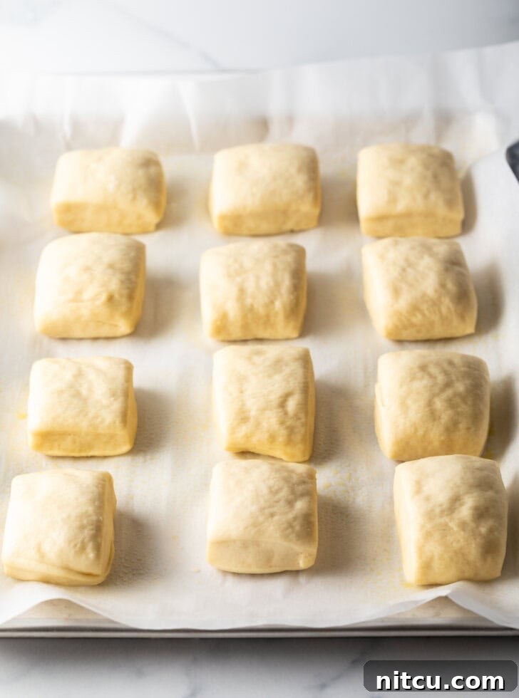 Top down a dozen unbaked rectangle yeast rolls on a baking sheet.