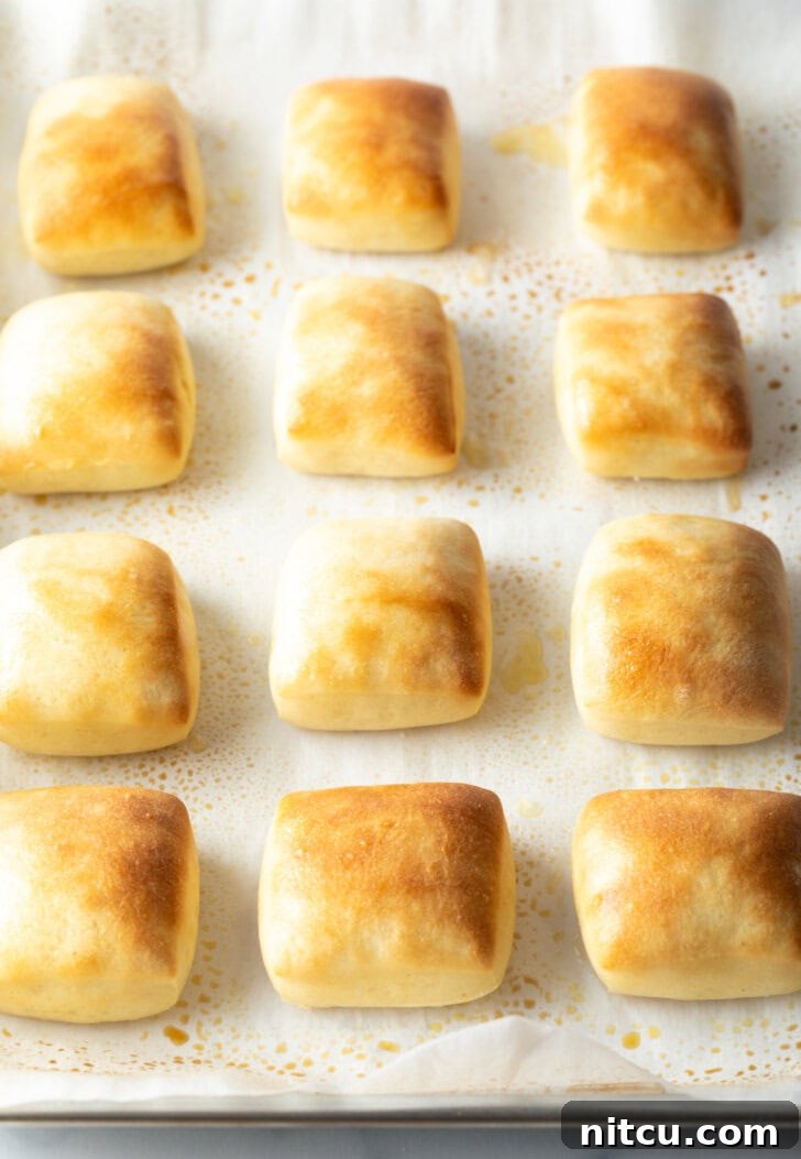 Top down a dozen rectangle yeast rolls on a baking sheet.