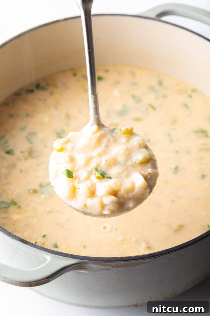 Hearty Seafood Chowder 9 Large pot of soup with a ladleful of fish chowder showing to camera.