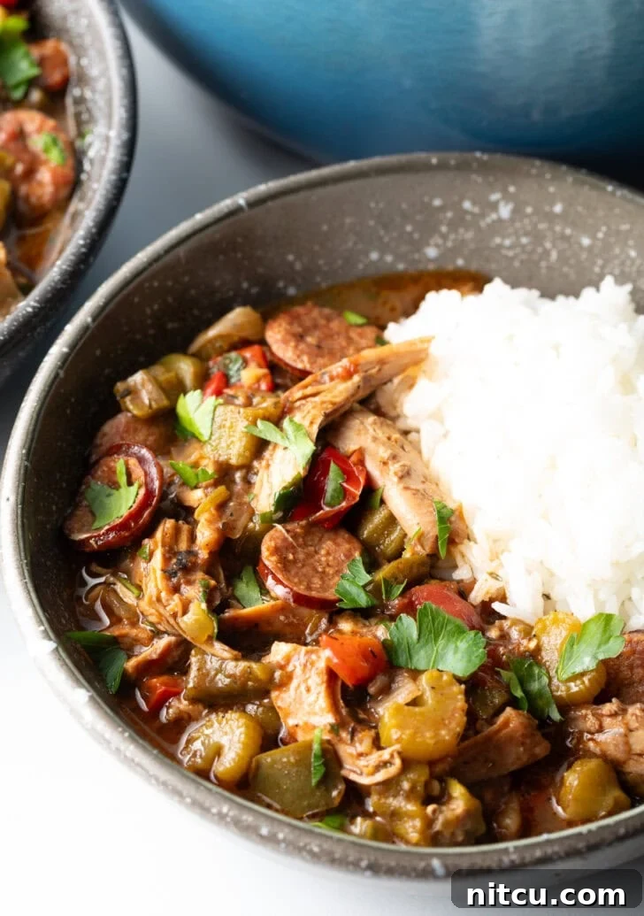 Bowl of chicken sausage gumbo with a scoop of white rice.