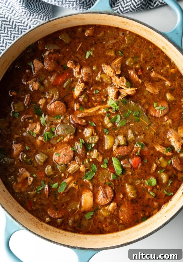 Large cooking pot of gumbo with chicken and sausage.