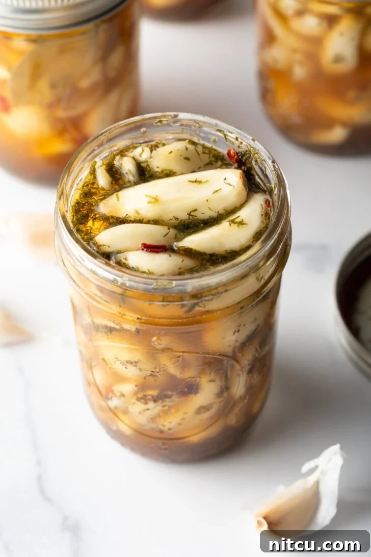 Zesty Pickled Garlic 2 Top down open glass jar stuffed with preserved garlic and herbs.