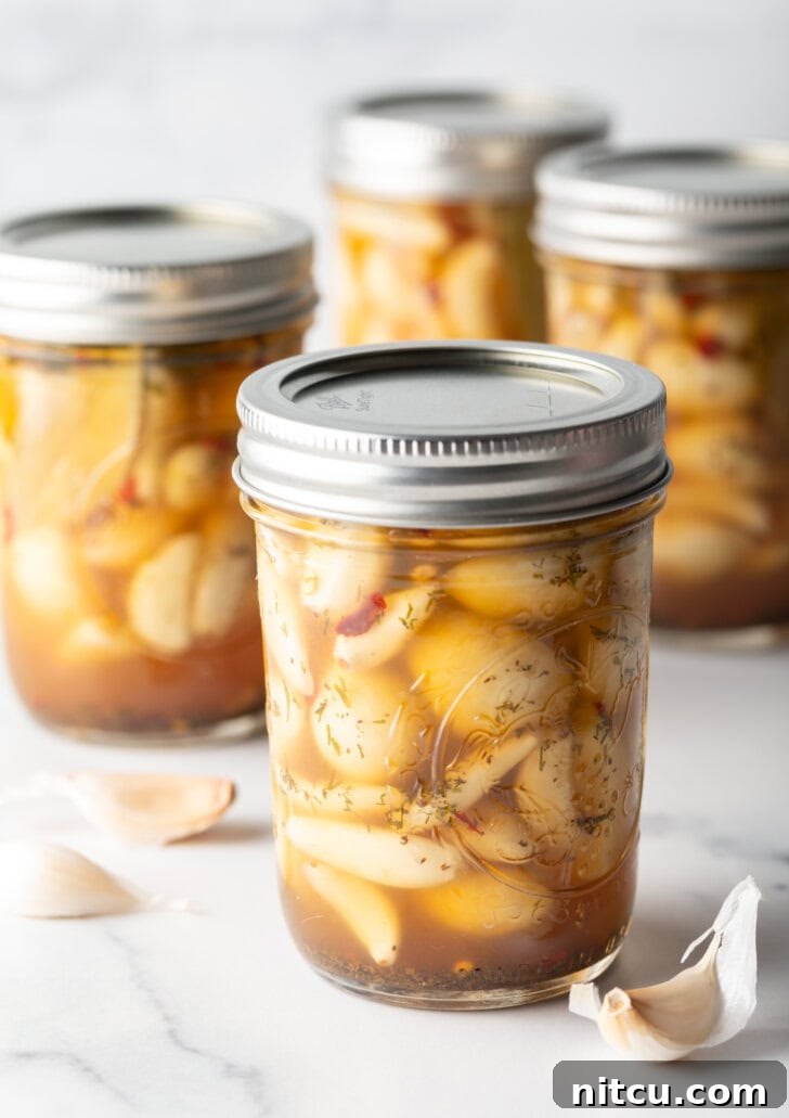 Zesty Pickled Garlic 3 Glass jars of pickled garlic sealed with metal lids.