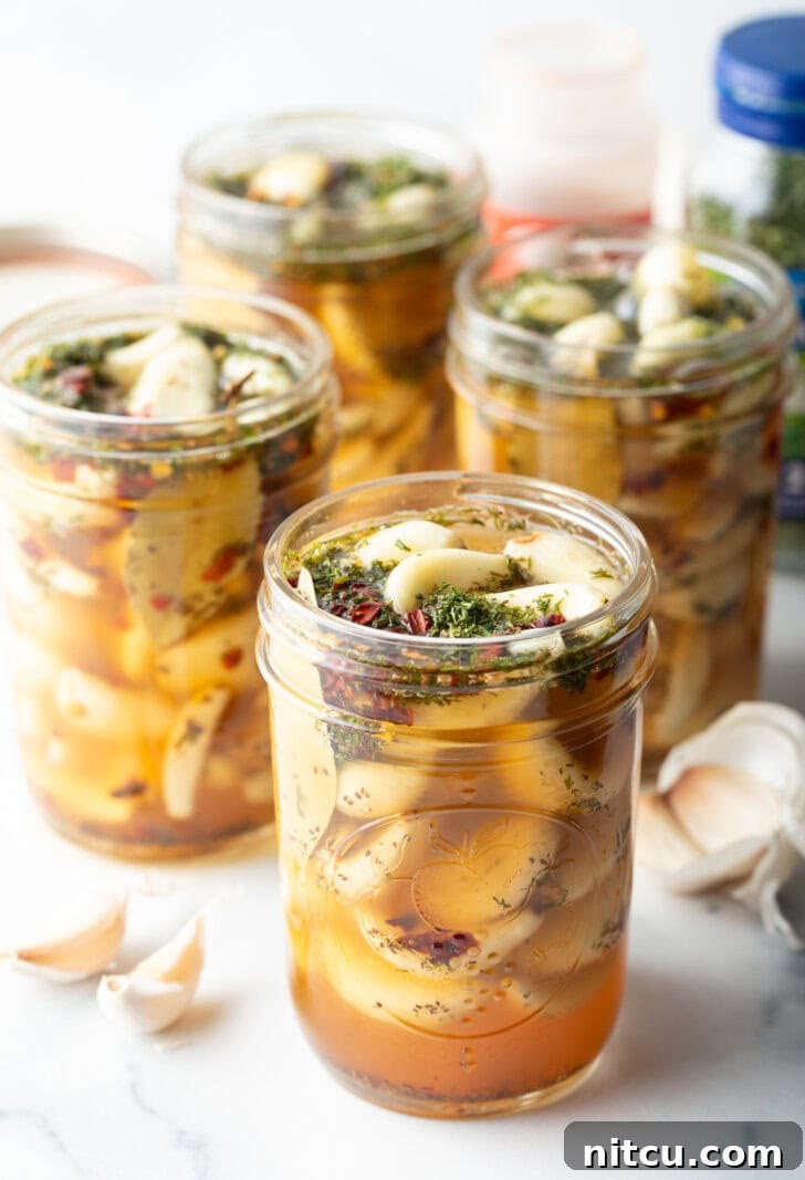 Zesty Pickled Garlic 9 Several open glass jars stuffed with preserved garlic and herbs.