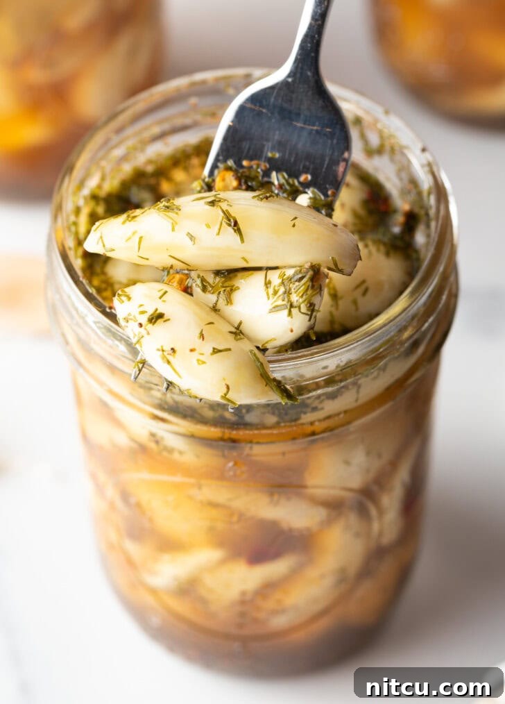 Zesty Pickled Garlic 10 Top down open glass jar stuffed with preserved garlic and herbs. A fork is digging in to grab several cloves.