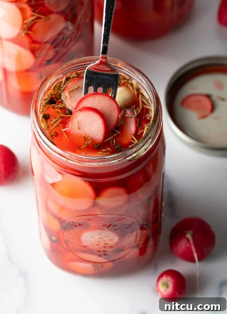 A fork picking out several bright pink pickled radishes from a large, clear glass jar, showcasing their crisp texture and appealing color.