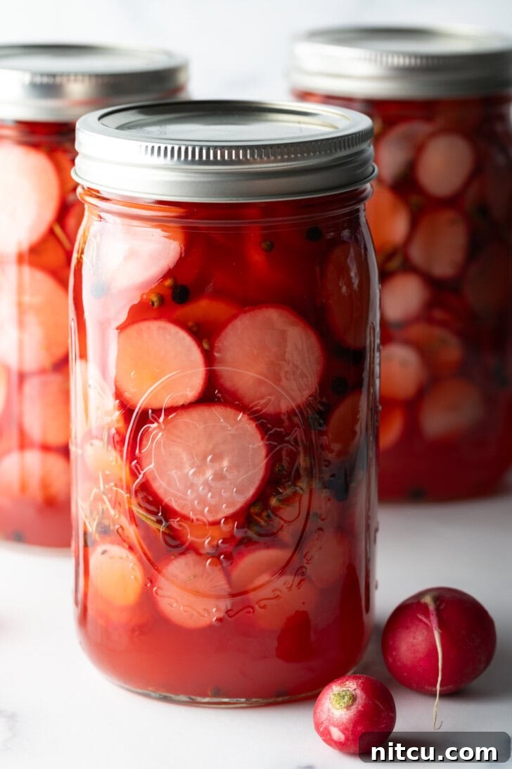 Several large sealed glass jars filled with thinly sliced, vibrant pink pickled radishes, ready for refrigeration.