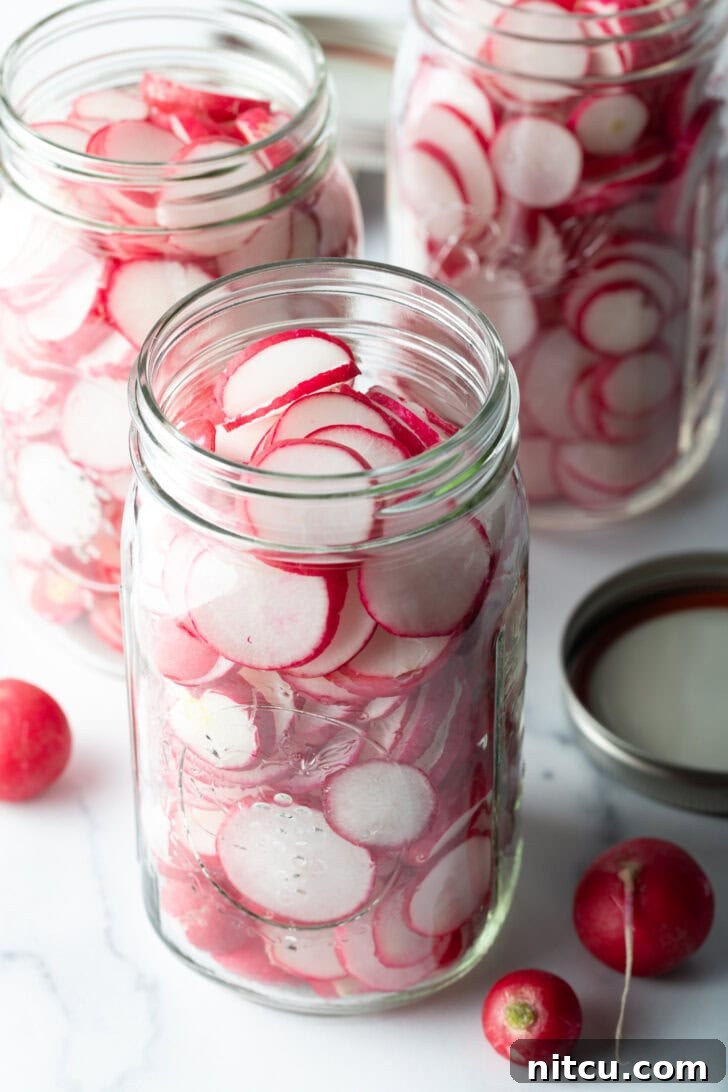 Three clear glass jars partially filled with thinly sliced radishes, ready for the pickling brine and aromatics.